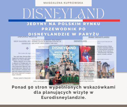 Disneyland Przewodnik