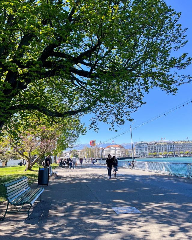 Genewa, francusko języczne miasto położone dla jeziorem Leman zaraz przy granicy z Francją. 
.
#podróże #francja #szwajcaria #szwajcaria🇨🇭 #geneve #geneva #genewa #podróż #polishgirl #zwiedzanie #zwiedzamy #kochampodroze #jezioro #wielkanoc #wakacje #holidays #voyage #genevaswitzerland #travel #podróżemałeiduże #podrozniczka #podrozezdzieckiem #mustsee #mustvisit #shetravels